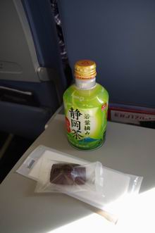 1/30 松本→静岡の飛行機に乗る。編　_e0094492_23231695.jpg