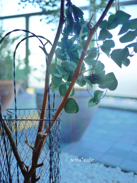 a0150193_1354250.gif