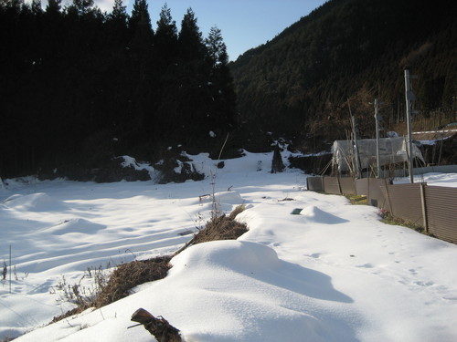 d0074596_18563376.jpg