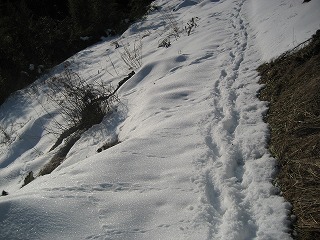 d0074596_1857171.jpg