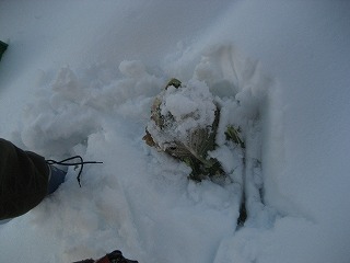 d0074596_19182271.jpg