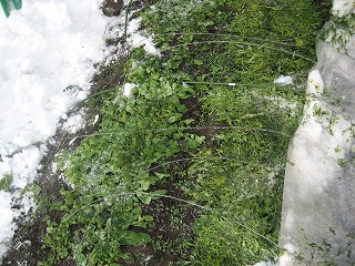 d0074596_1951376.jpg