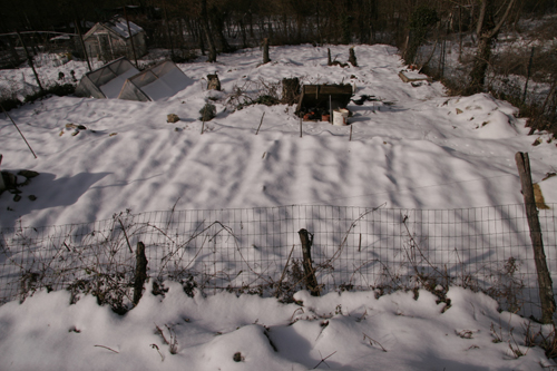 雪と鶏とカルボナーラ_f0106597_23332962.jpg