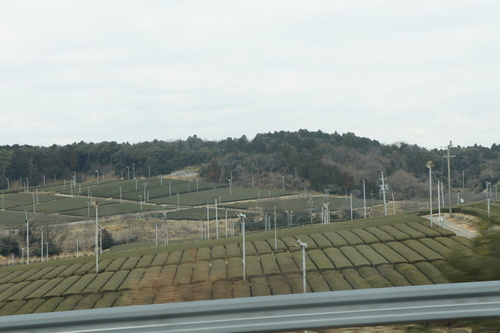 a0113003_1621341.jpg