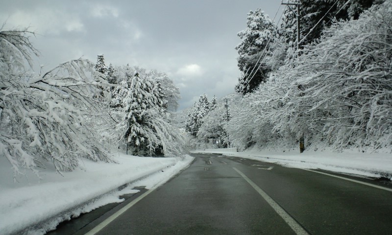 この冬の雪模様　節分編_d0093903_23145441.jpg