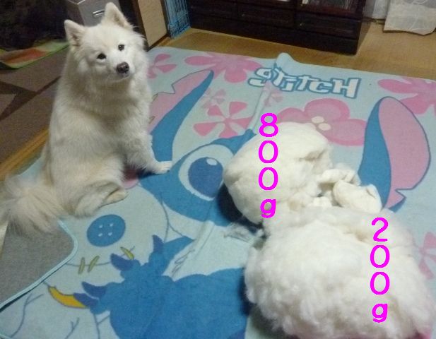 e0018604_20111834.jpg