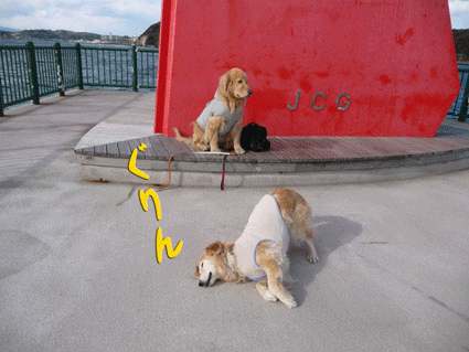 e0072606_2145083.gif