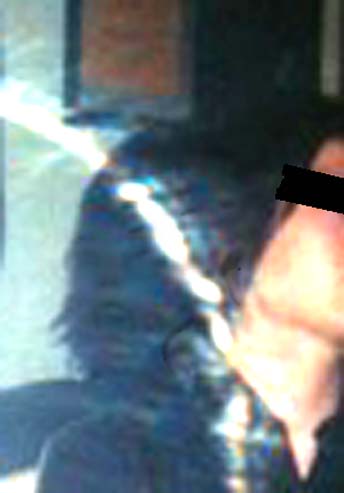 e0103408_20404510.jpg