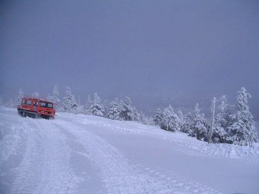a0152009_041177.jpg