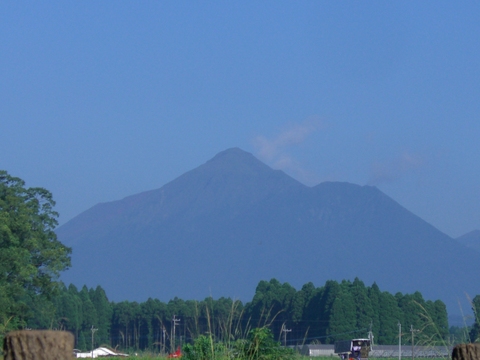 d0116009_4143396.jpg