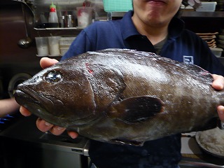 クエの刺身_f0157910_161679.jpg