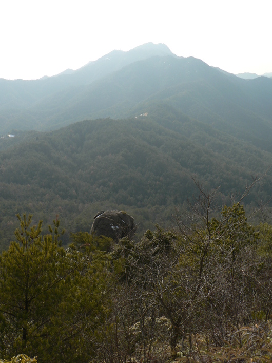 f0219710_8284186.jpg