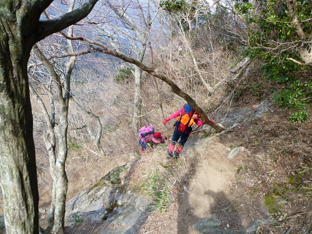 急登の錫杖ケ岳(676M)に登る　　_d0170615_1134915.jpg