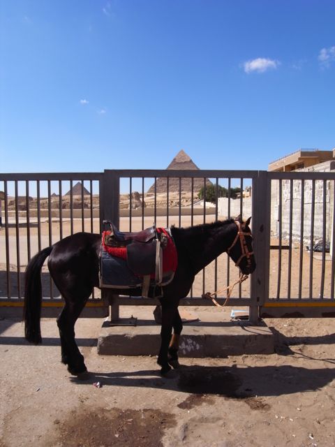 c0008520_11154310.jpg
