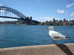 f0232522_10254470.gif