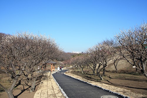 c0028424_19303110.jpg