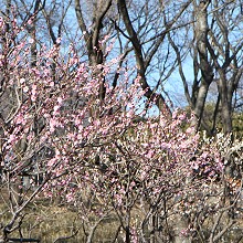 c0028424_19305328.jpg