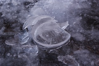 f0170524_1011938.jpg
