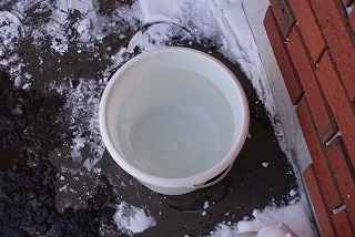 f0170524_1023859.jpg