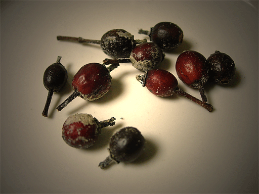 a0119827_2121391.gif