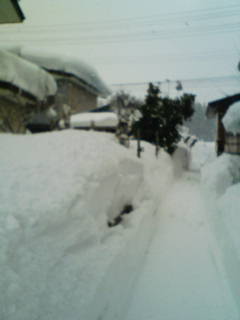 雪_b0162238_9544527.jpg