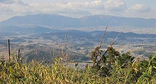 d0048350_20342073.jpg