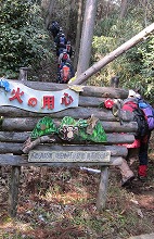 d0048350_2034369.jpg