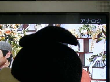 f0050651_21534950.jpg