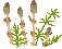 e0139859_23442443.gif