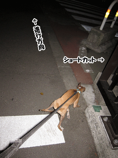 f0158862_21472777.gif