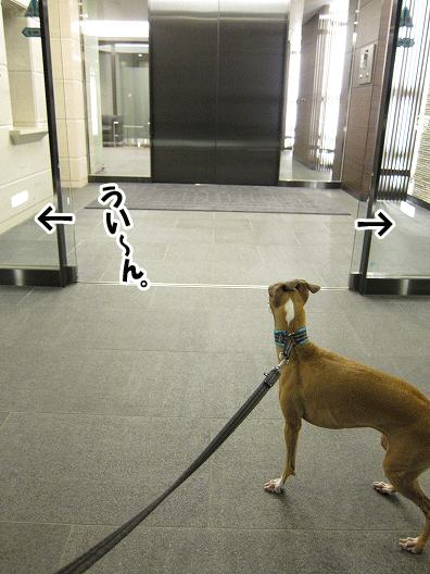 f0158862_21485488.gif