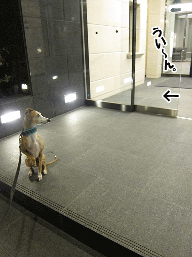 f0158862_21491411.gif