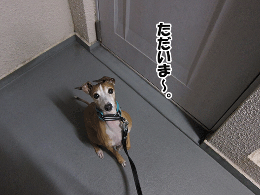 f0158862_2150342.gif