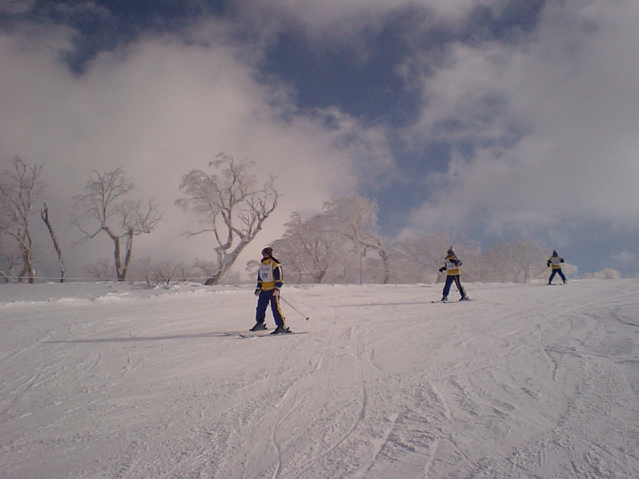 d0098665_18461616.jpg