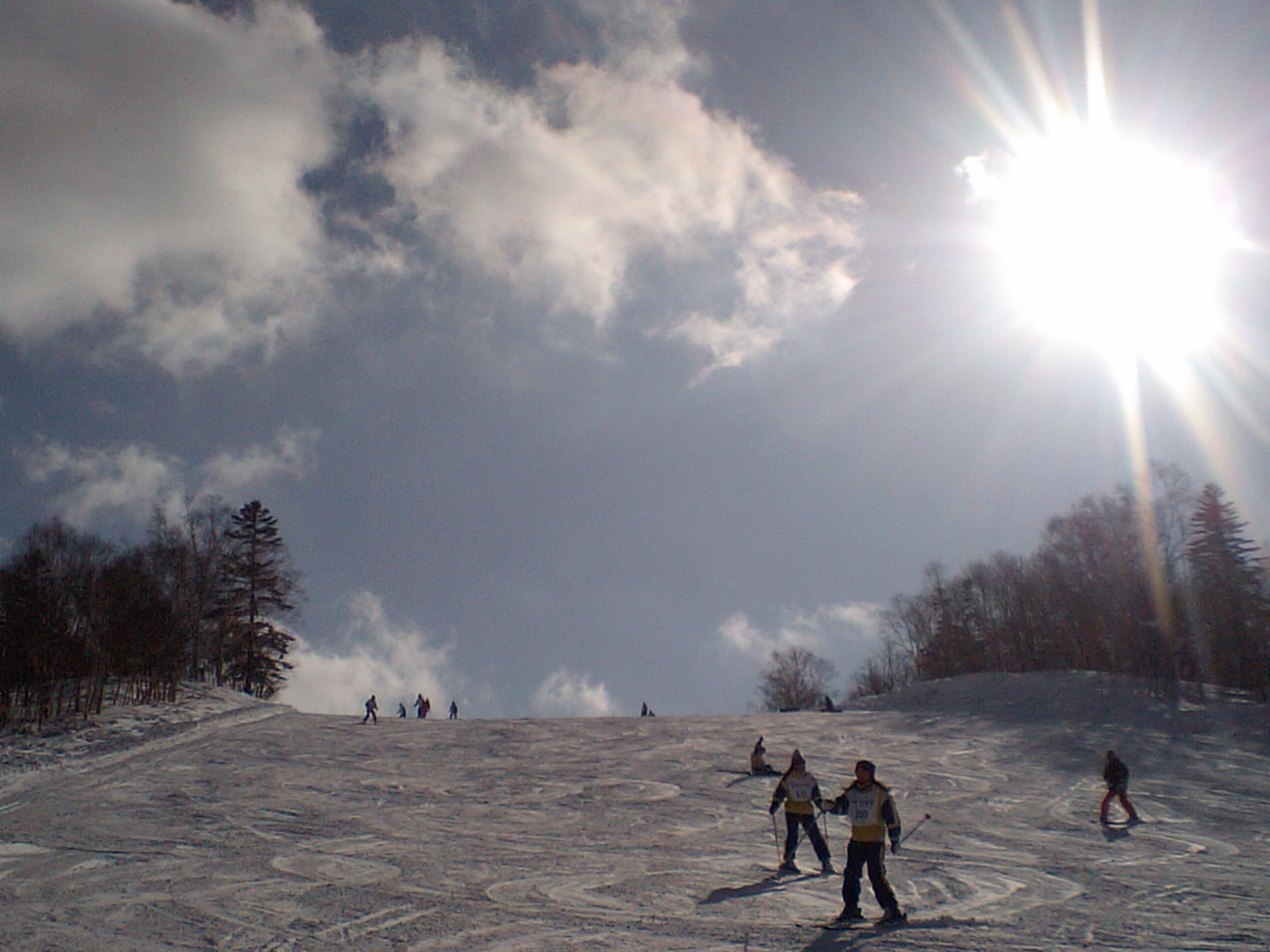 d0098665_1848393.jpg