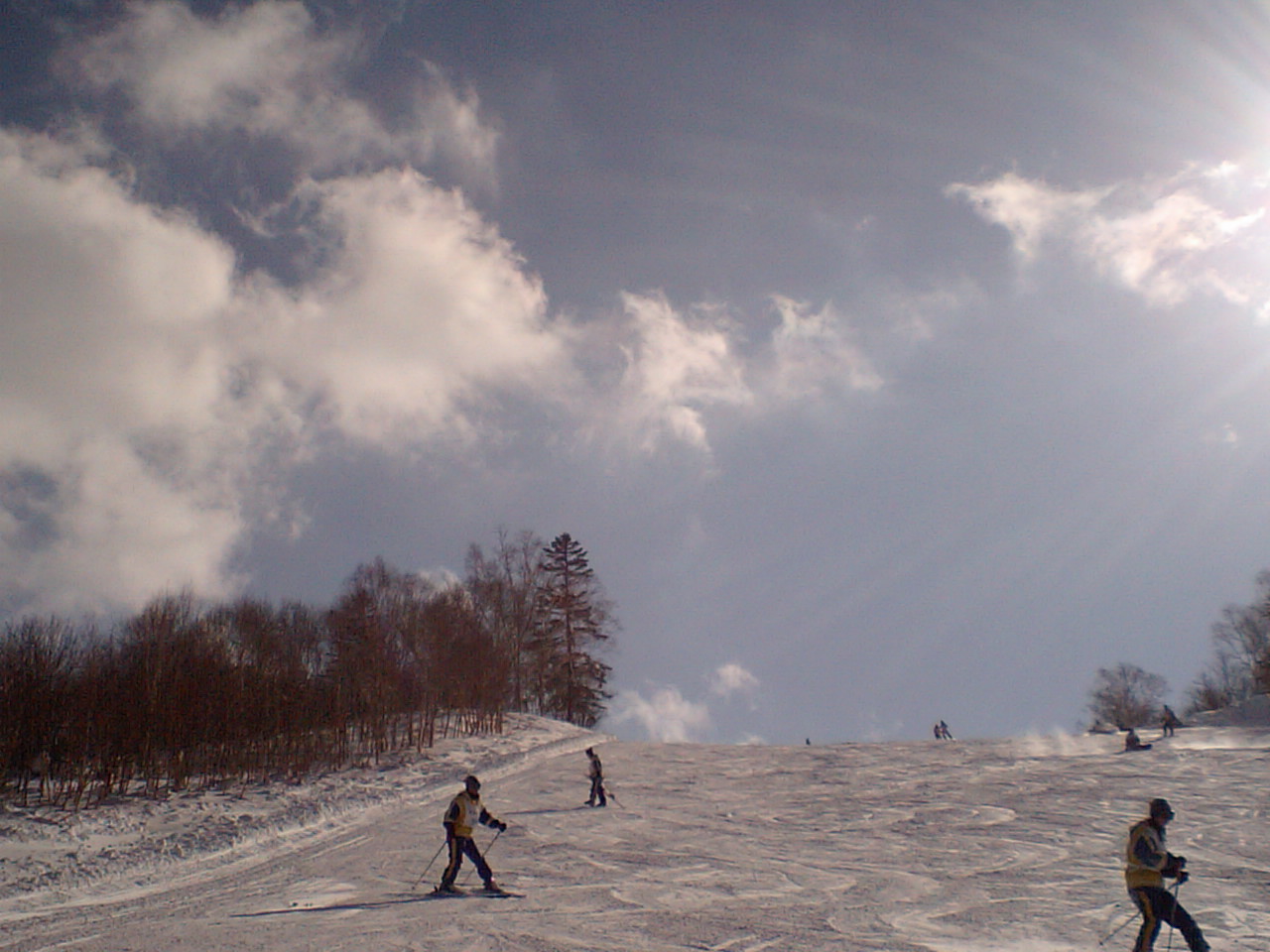 d0098665_18485291.jpg