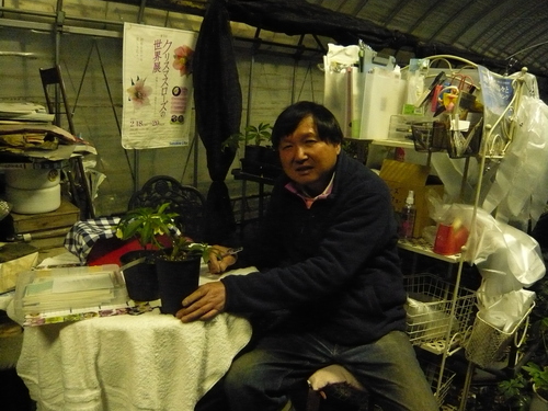いろんな人がいるから、出会いは楽し・・・・クリスマスローズおじさん・・東京での出会い編　　　　_b0137969_1842661.jpg