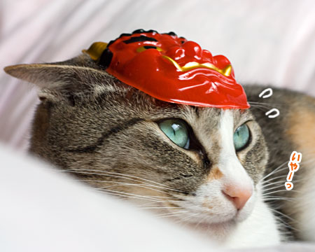 三毛オニと茶白オニ_a0119470_20371789.jpg