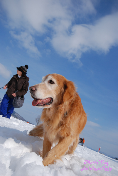 蒜山雪遊び！みんなと一緒♪_f0206270_22154284.jpg