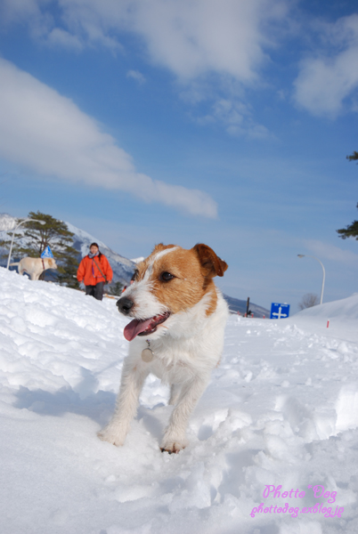 蒜山雪遊び！みんなと一緒♪_f0206270_22163031.jpg