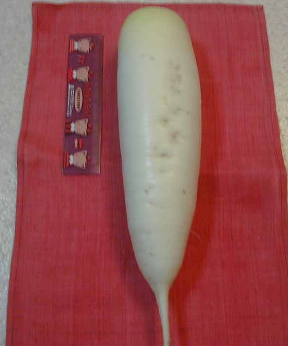 e0126576_1011595.jpg