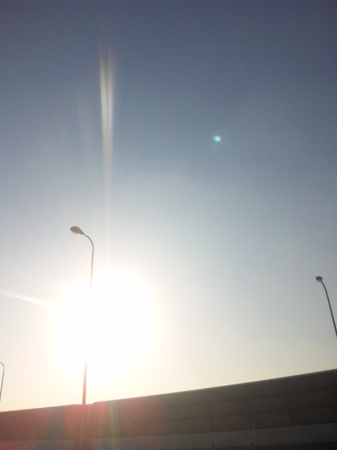 f0057078_1655750.jpg