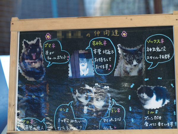お寺のネコさんと~_a0161380_11361066.jpg