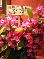 c0063587_026592.jpg