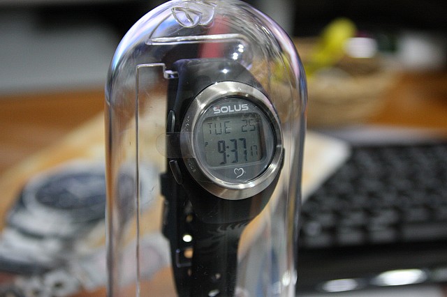d0050693_1298100.jpg