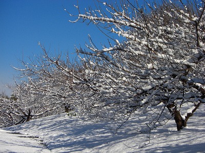 c0125501_12285852.jpg