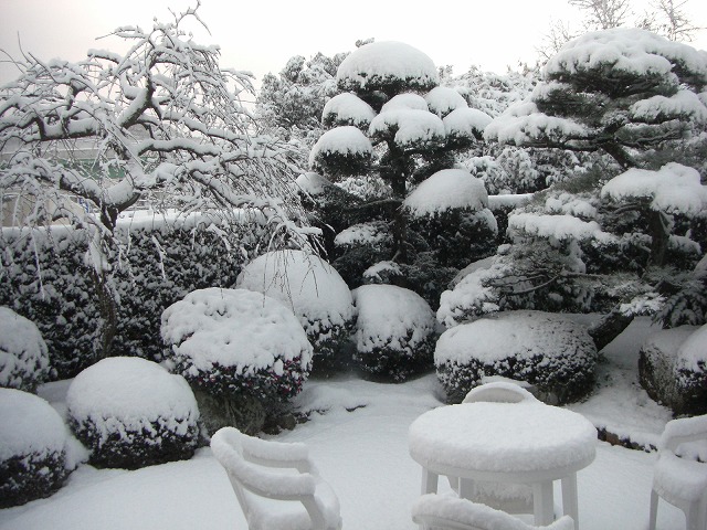 c0125501_12304552.jpg