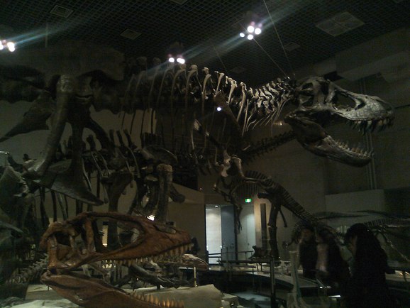d0163003_15356.jpg