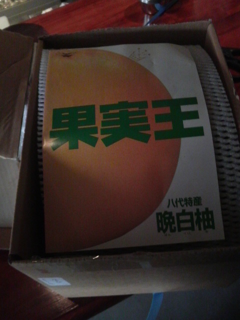 送られ物_d0180005_17351593.jpg