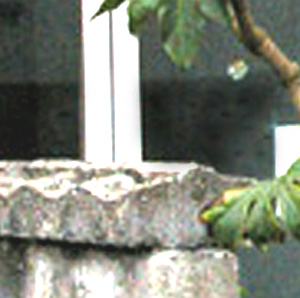 e0103408_1082982.jpg